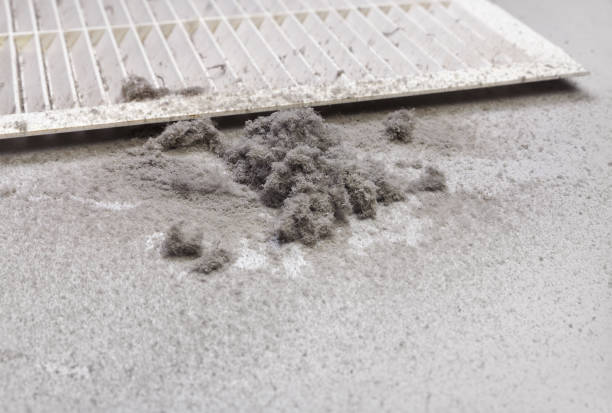 Best Air Duct Cleaning Near Me  in Crest Hl, IL