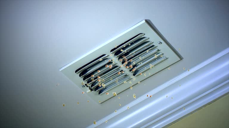 Best Best Air Duct Cleaning Company  in Crest Hl, IL