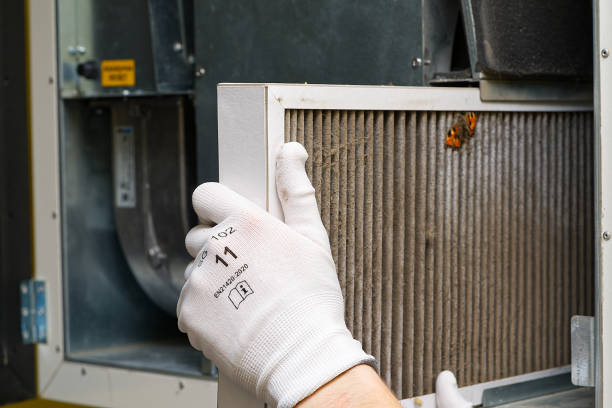 Best HVAC Air Duct Cleaning  in Crest Hl, IL