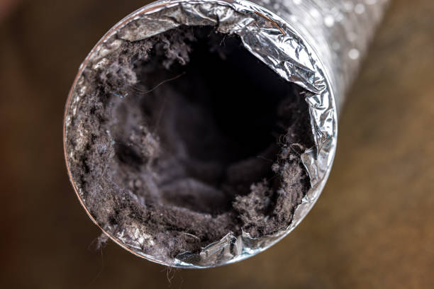 Best Best Air Duct Cleaning Company  in Crest Hl, IL