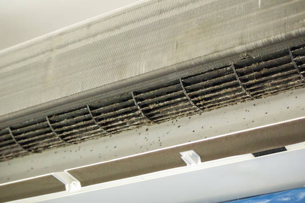 Best Affordable Duct Cleaning Services  in Crest Hl, IL